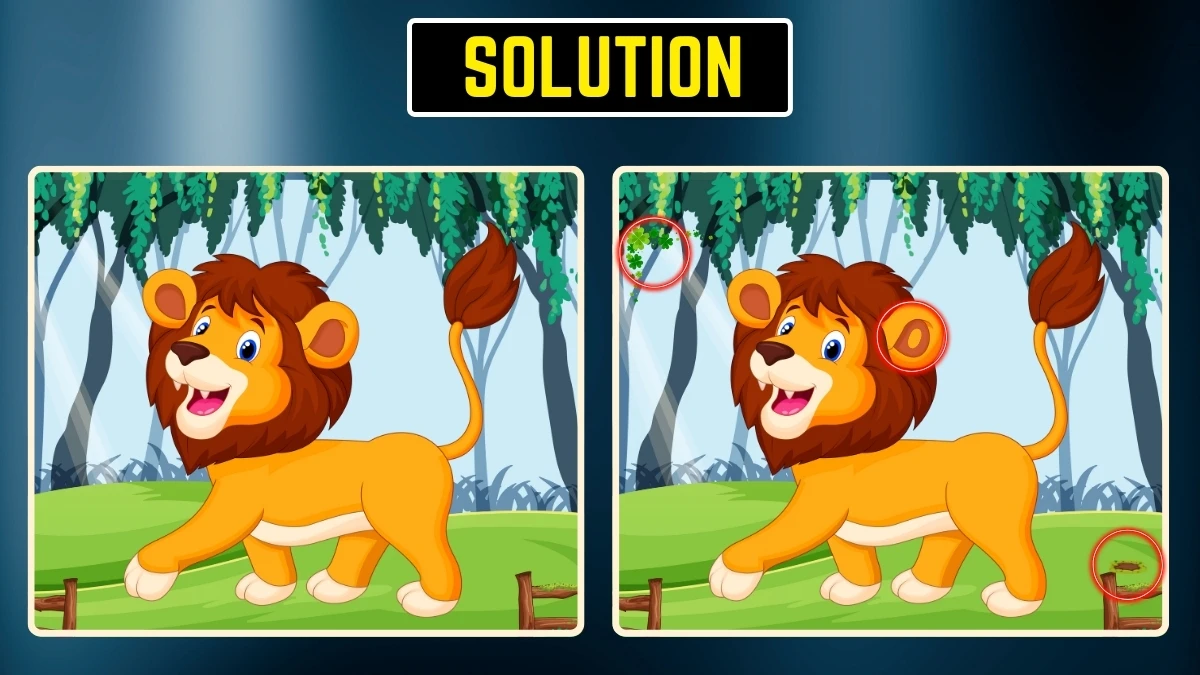 Brain Teaser Spot The Difference: क्या आप 6 सेकंड में सभी 3 ढूंढ सकते हैं? Brain Teaser Spot The Difference: क्या आप 6 सेकंड में सभी 3 ढूंढ सकते हैं?