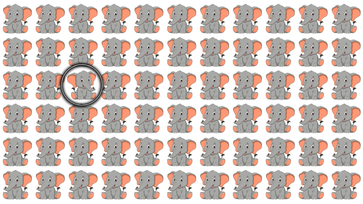 Brain Teaser: 6 सेकंड में अलग हाथी को पहचानें! Brain Teaser: 6 सेकंड में अलग हाथी को पहचानें!