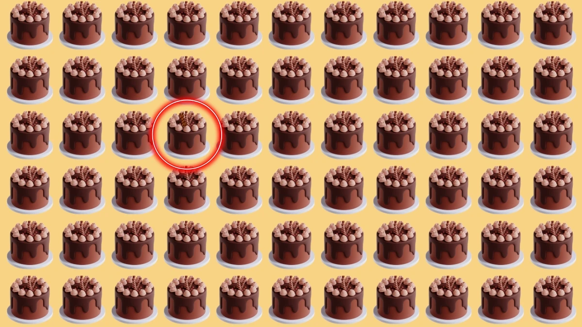 Brain Teaser: 7 सेकंड में अजीब केक पहचानें! Brain Teaser: 7 सेकंड में अजीब केक पहचानें!