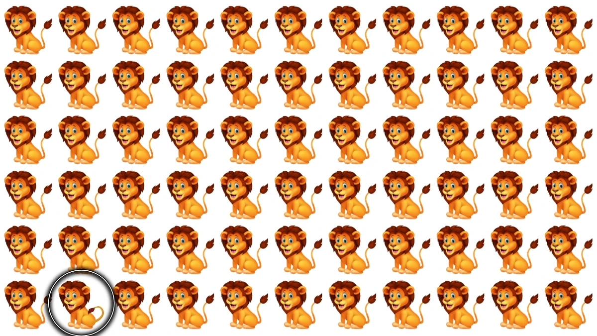 Brain Teaser: 6 सेकंड में अजीब शेर को पहचानें