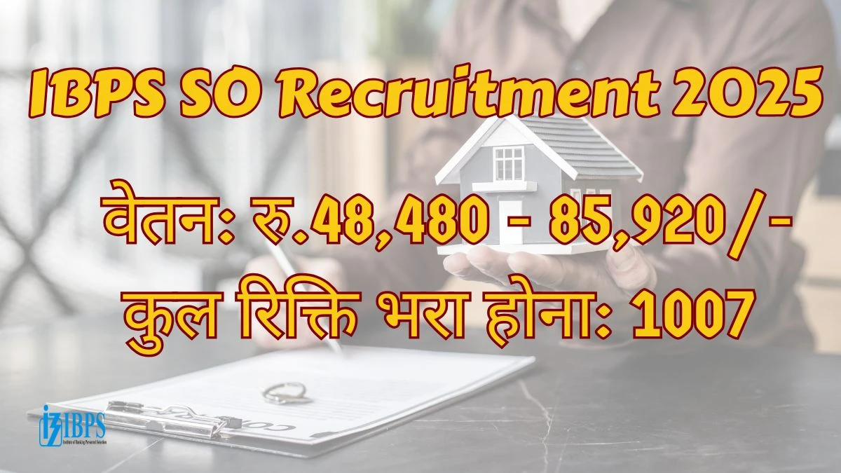 IBPS SO Recruitment 2025 – 1007 Posts, Online Form Out at ibps.in