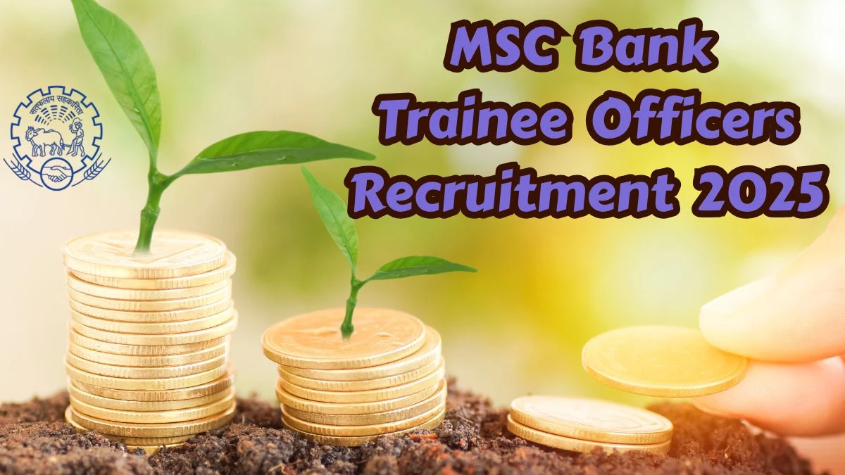 MSC Bank Trainee Officers Recruitment 2025 – 167 Posts, Online Form Out at mscbank.com MSC Bank Trainee Officers Recruitment 2025 – 167 Posts, Online Form Out at mscbank.com