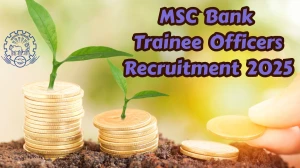 MSC Bank Trainee Officers Recruitment 2025 – 167 Posts, Online Form Out at mscbank.com