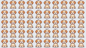 Optical Illusion: समय समाप्त होने से पहले अजीब कुत्ते को पहचानें!