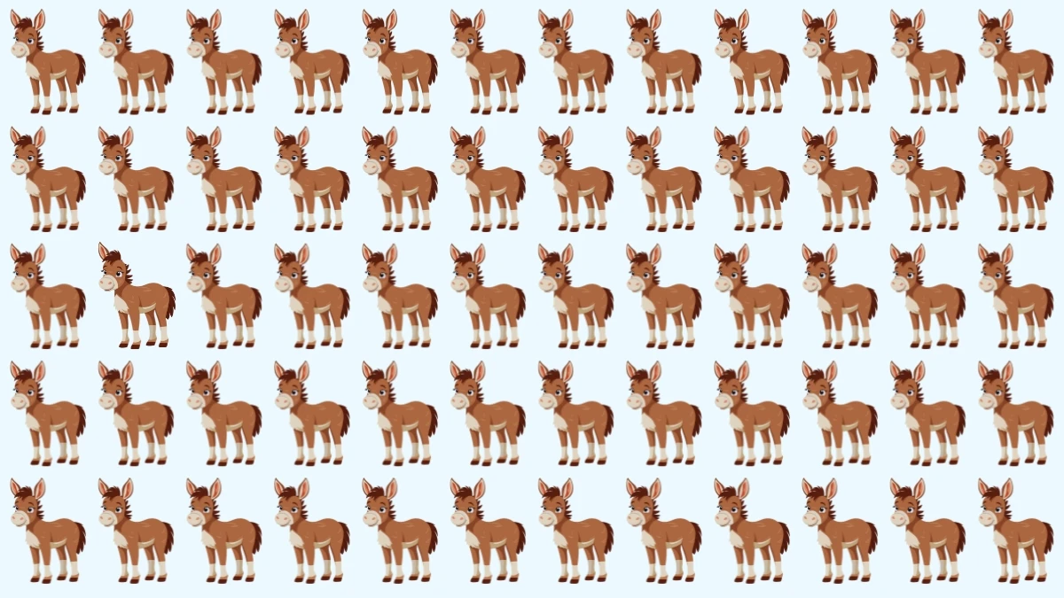 Optical Illusion: अजीब गधे को पहचानने के लिए अपनी दृष्टि का परीक्षण करें! Optical Illusion: अजीब गधे को पहचानने के लिए अपनी दृष्टि का परीक्षण करें!