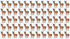 Optical Illusion: अजीब गधे को पहचानने के लिए अपनी दृष्टि का परीक्षण करें!