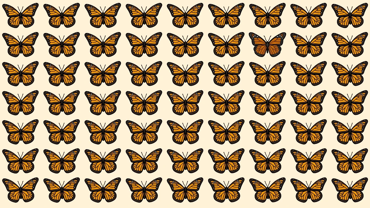 Optical Illusion: अजीब तितली को पहचानने के लिए अपनी दृष्टि तेज़ करें