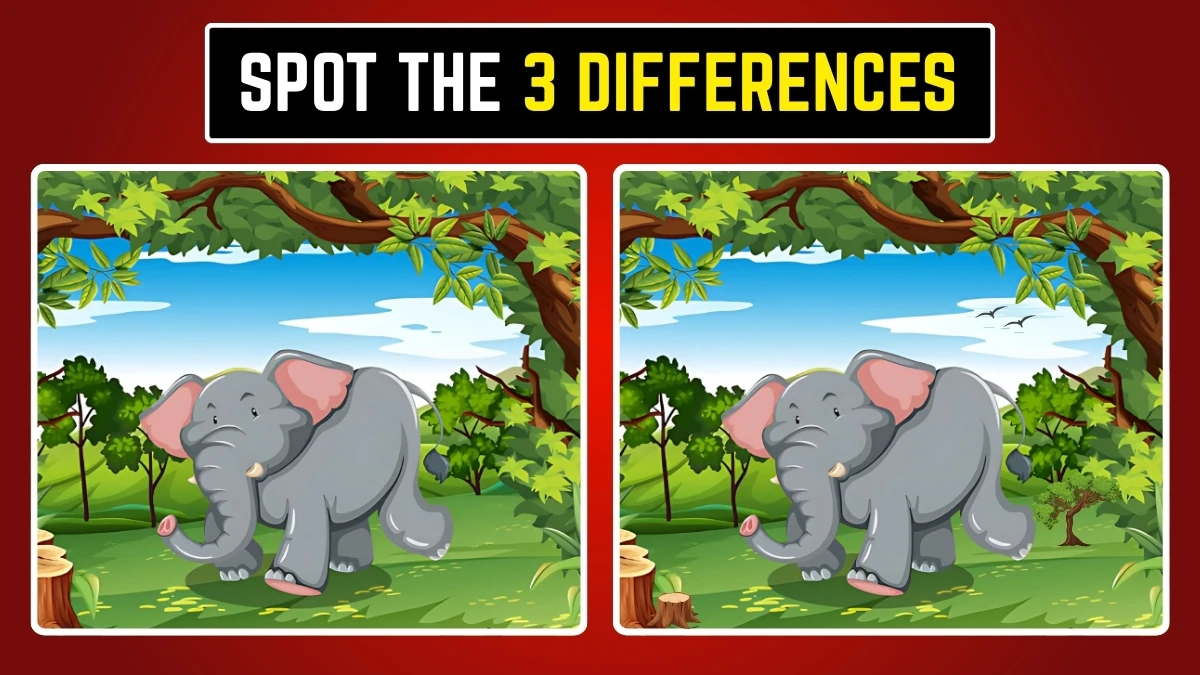 Optical Illusion: Can You Spot the 3 Hidden Differences?