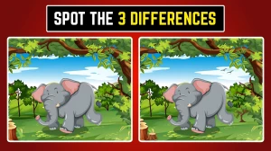 Optical Illusion: Can You Spot the 3 Hidden Differences?