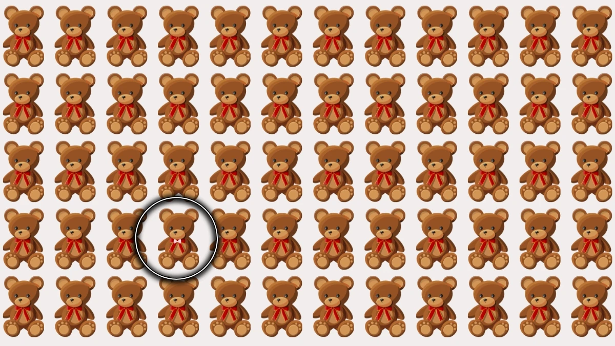 Optical Illusion: केवल तेज़ नज़रें ही अजीब टेडी को खोज सकती हैं Optical Illusion: केवल तेज़ नज़रें ही अजीब टेडी को खोज सकती हैं