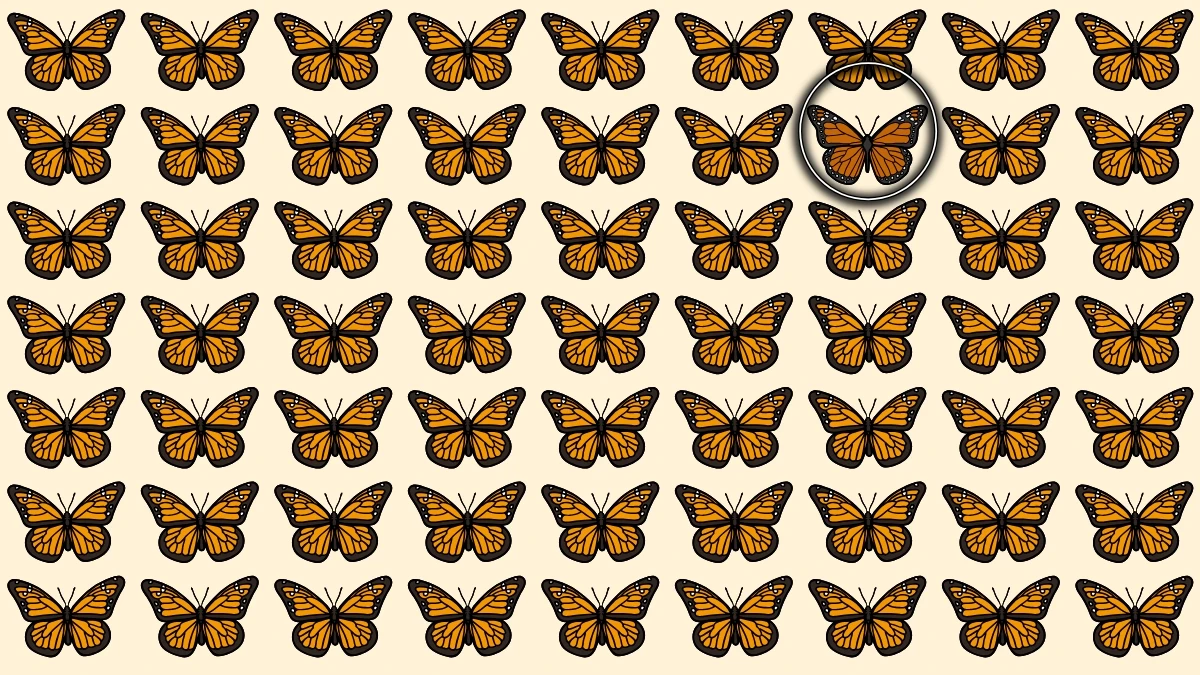 Optical Illusion: अजीब तितली को पहचानने के लिए अपनी दृष्टि तेज़ करें