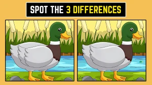 Optical Illusion: केवल 6 सेकंड में 3 अंतर पहचानें!