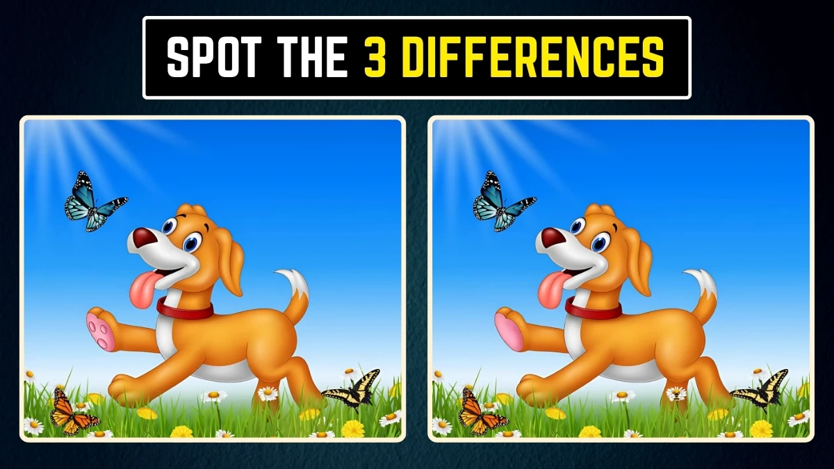 Optical Illusion Spot the Difference: केवल तेज आंखें ही इन 3 परिवर्तनों को पहचान पाएंगी! Optical Illusion Spot the Difference: केवल तेज आंखें ही इन 3 परिवर्तनों को पहचान पाएंगी!