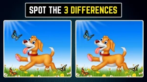Optical Illusion Spot the Difference: केवल तेज आंखें ही इन 3 परिवर्तनों को पहचान पाएंगी!
