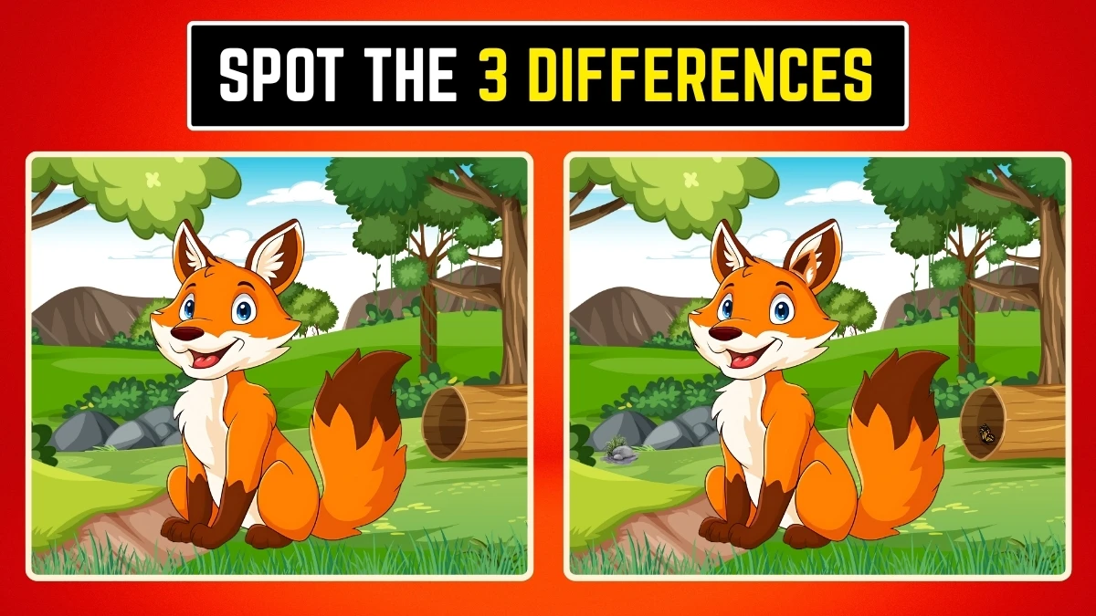 Optical Illusion Spot the Difference: क्या आप 3 छिपे हुए परिवर्तन ढूंढ सकते हैं? Optical Illusion Spot the Difference: क्या आप 3 छिपे हुए परिवर्तन ढूंढ सकते हैं?