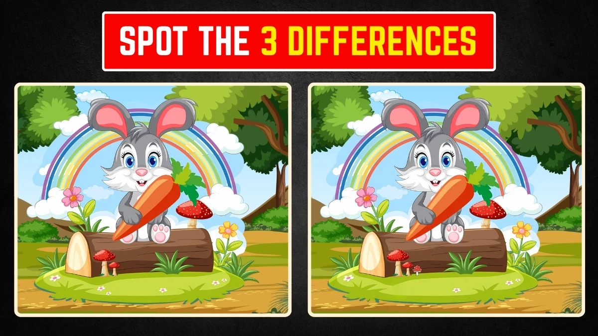 Optical Illusion Spot the Difference: 7 सेकंड में 3 छुपे हुए विवरण खोजें! Optical Illusion Spot the Difference: 7 सेकंड में 3 छुपे हुए विवरण खोजें!