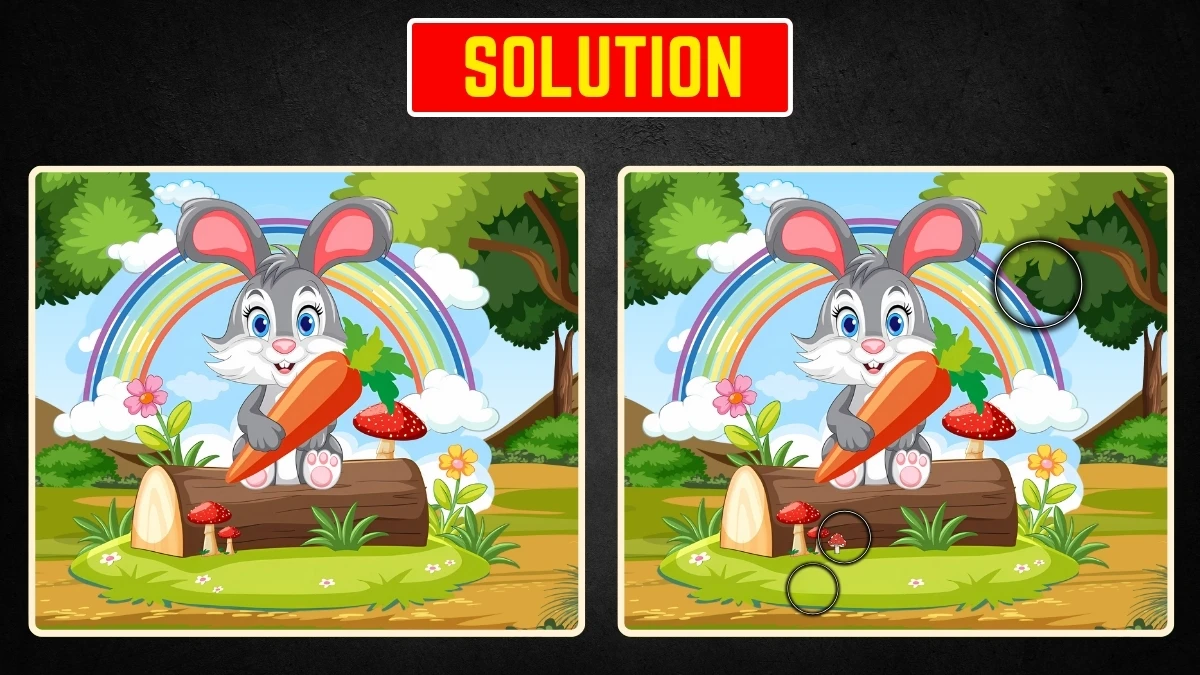 Optical Illusion Spot the Difference: 7 सेकंड में 3 छुपे हुए विवरण खोजें! Optical Illusion Spot the Difference: 7 सेकंड में 3 छुपे हुए विवरण खोजें!