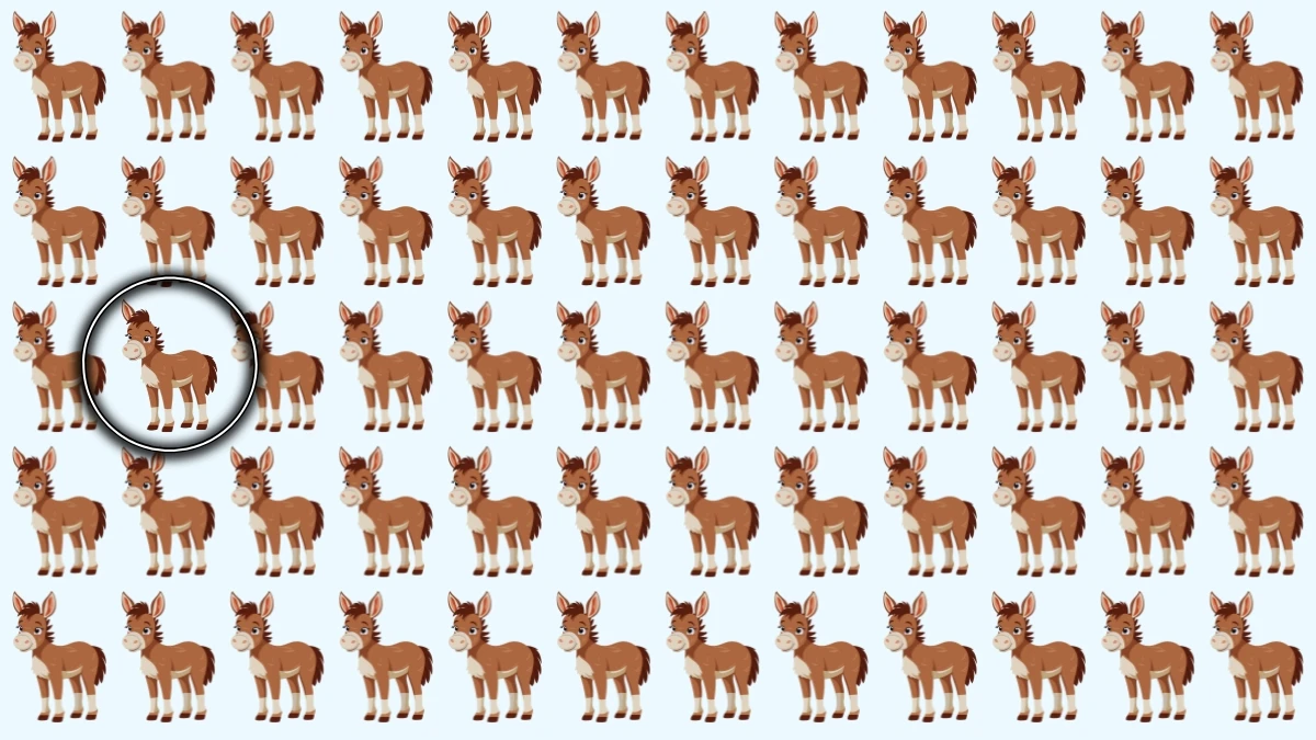 Optical Illusion: अजीब गधे को पहचानने के लिए अपनी दृष्टि का परीक्षण करें!