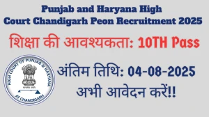 Punjab and Haryana High Court Chandigarh Peon Recruitment 2025 – 75 Posts, Online Form Out at highcourtchd.gov.in