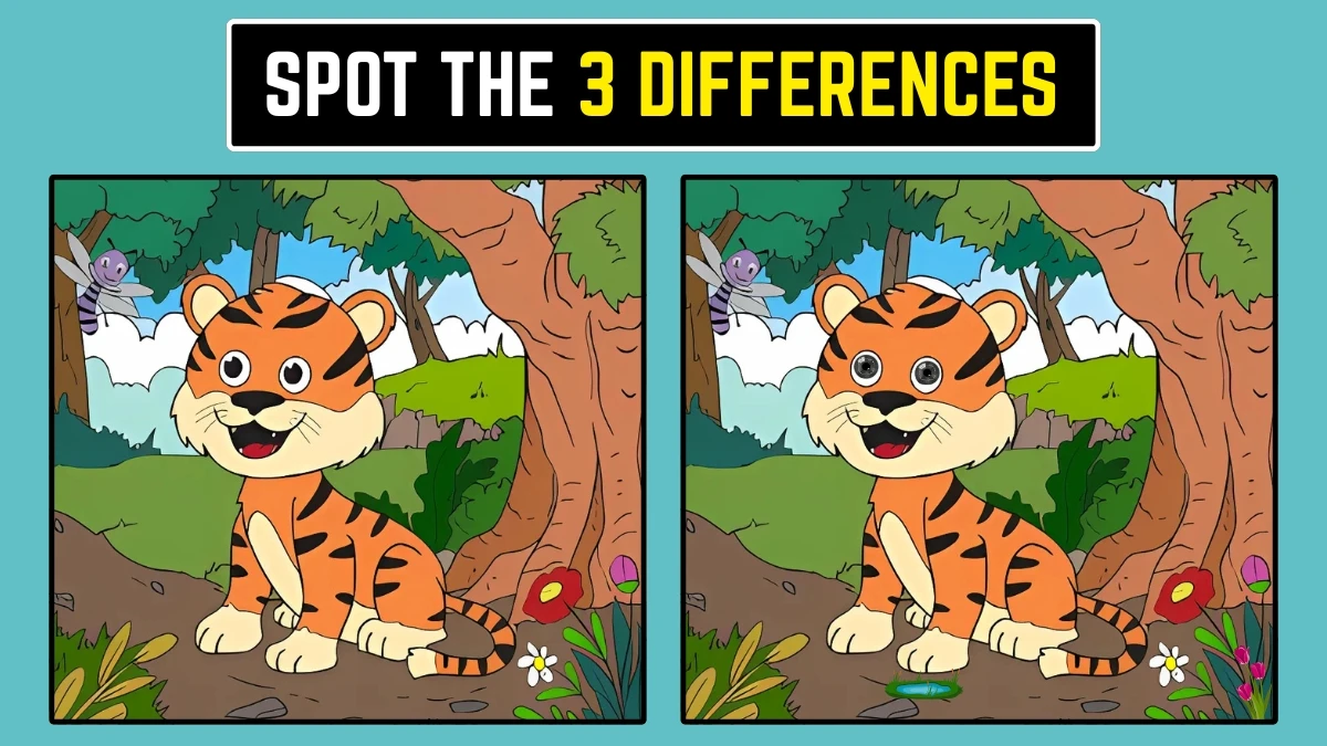 Brain Teaser: 3 छिपे हुए अंतर खोजने के लिए अपनी आंखों को चुनौती दें! Brain Teaser: 3 छिपे हुए अंतर खोजने के लिए अपनी आंखों को चुनौती दें!