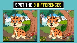 Brain Teaser: 3 छिपे हुए अंतर खोजने के लिए अपनी आंखों को चुनौती दें! Brain Teaser: 3 छिपे हुए अंतर खोजने के लिए अपनी आंखों को चुनौती दें!
