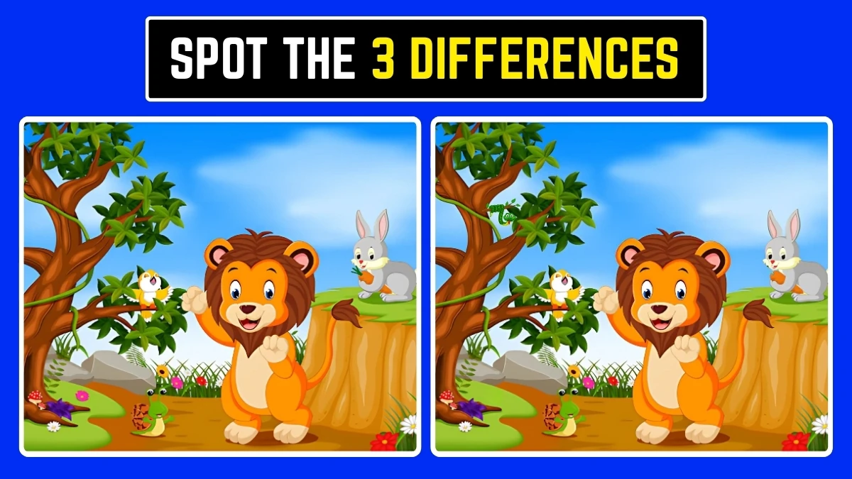 Brain Teaser: समय समाप्त होने से पहले 3 अंतर खोजें! Brain Teaser: समय समाप्त होने से पहले 3 अंतर खोजें!