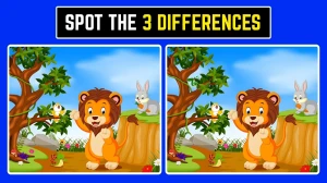 Brain Teaser: समय समाप्त होने से पहले 3 अंतर खोजें! Brain Teaser: समय समाप्त होने से पहले 3 अंतर खोजें!