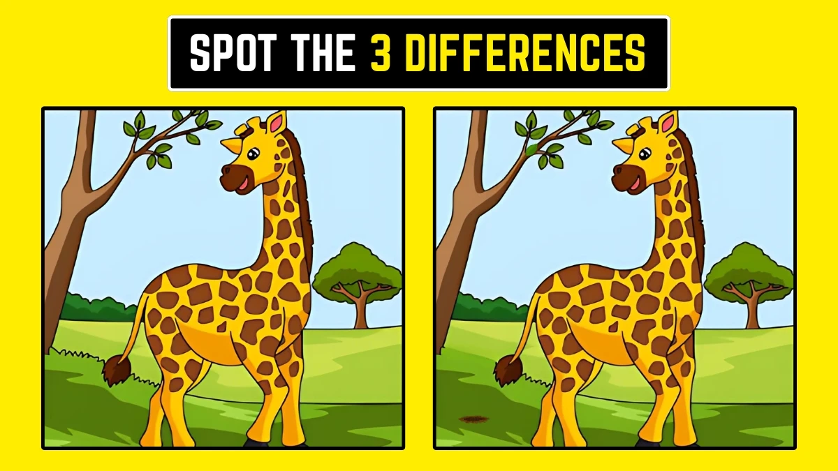 Brain Teaser: क्या आप 7 सेकंड में 3 अंतर ढूंढ सकते हैं?