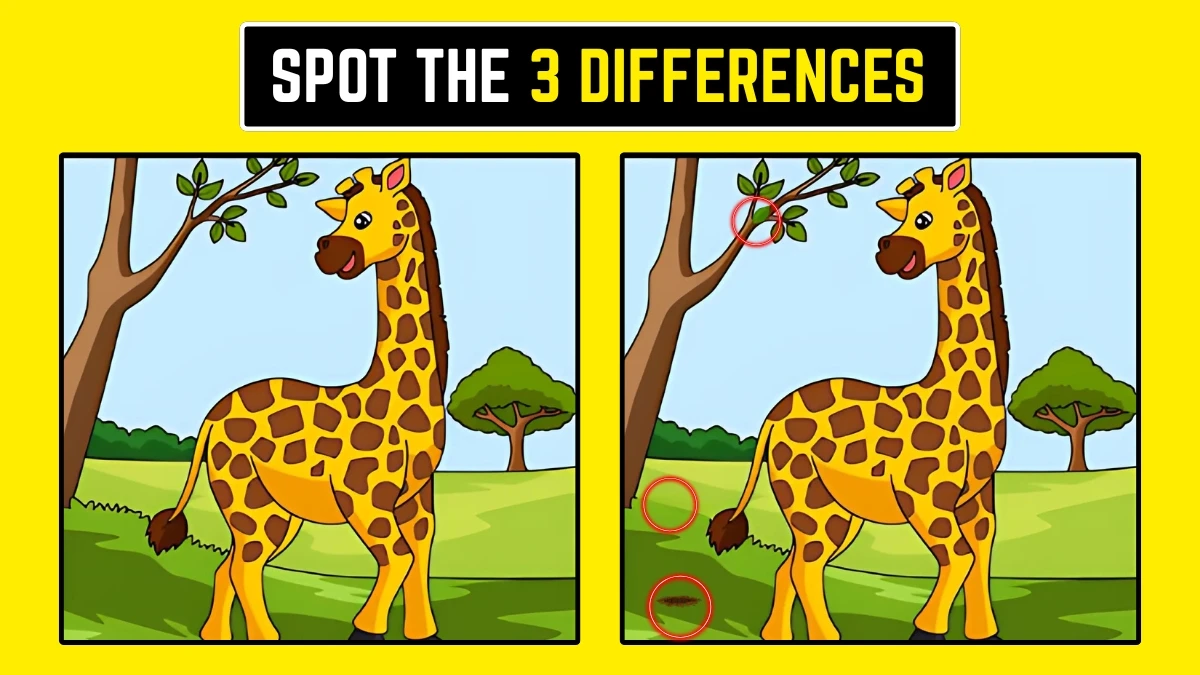 Brain Teaser: क्या आप 7 सेकंड में 3 अंतर ढूंढ सकते हैं? Brain Teaser: क्या आप 7 सेकंड में 3 अंतर ढूंढ सकते हैं?