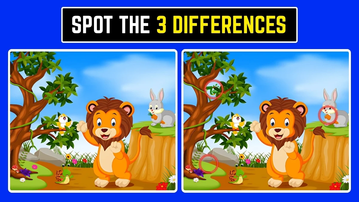 Brain Teaser: समय समाप्त होने से पहले 3 अंतर खोजें! Brain Teaser: समय समाप्त होने से पहले 3 अंतर खोजें!