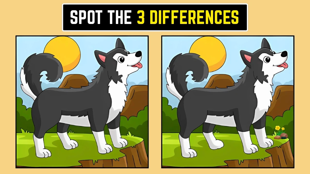 Optical Illusion: केवल तेज़ आँखें ही 3 छिपे हुए बदलाव देख पाती हैं