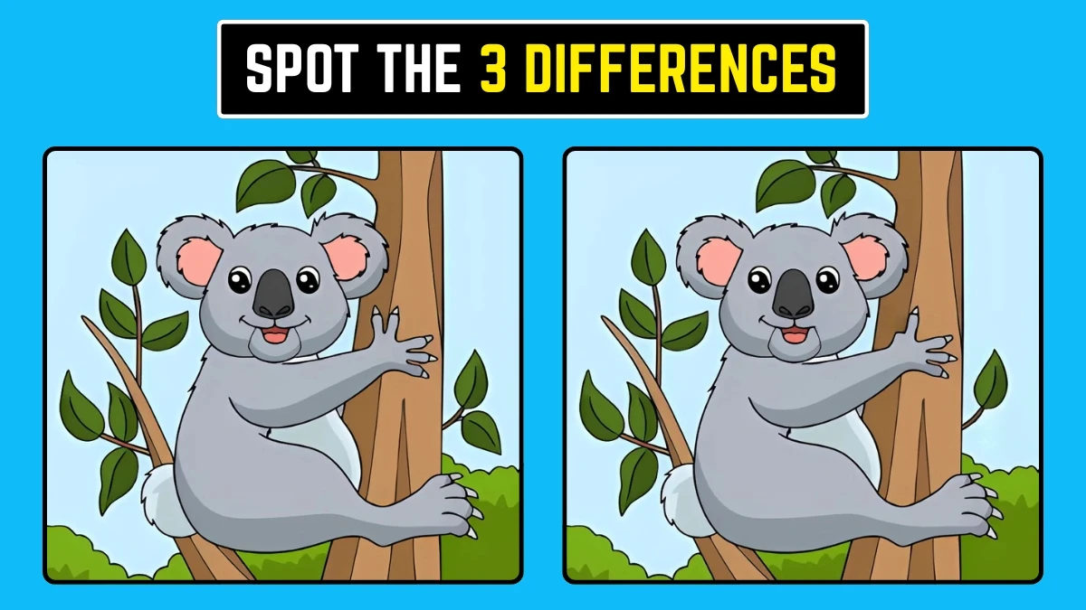 Optical Illusion: क्या आप 3 अंतरों को तुरंत पहचान सकते हैं? Optical Illusion: क्या आप 3 अंतरों को तुरंत पहचान सकते हैं?