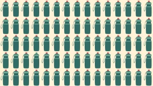 Optical Illusion: क्या आप 6 सेकंड में छिपी हुई पानी की बोतल ढूंढ सकते हैं? Optical Illusion: क्या आप 6 सेकंड में छिपी हुई पानी की बोतल ढूंढ सकते हैं?
