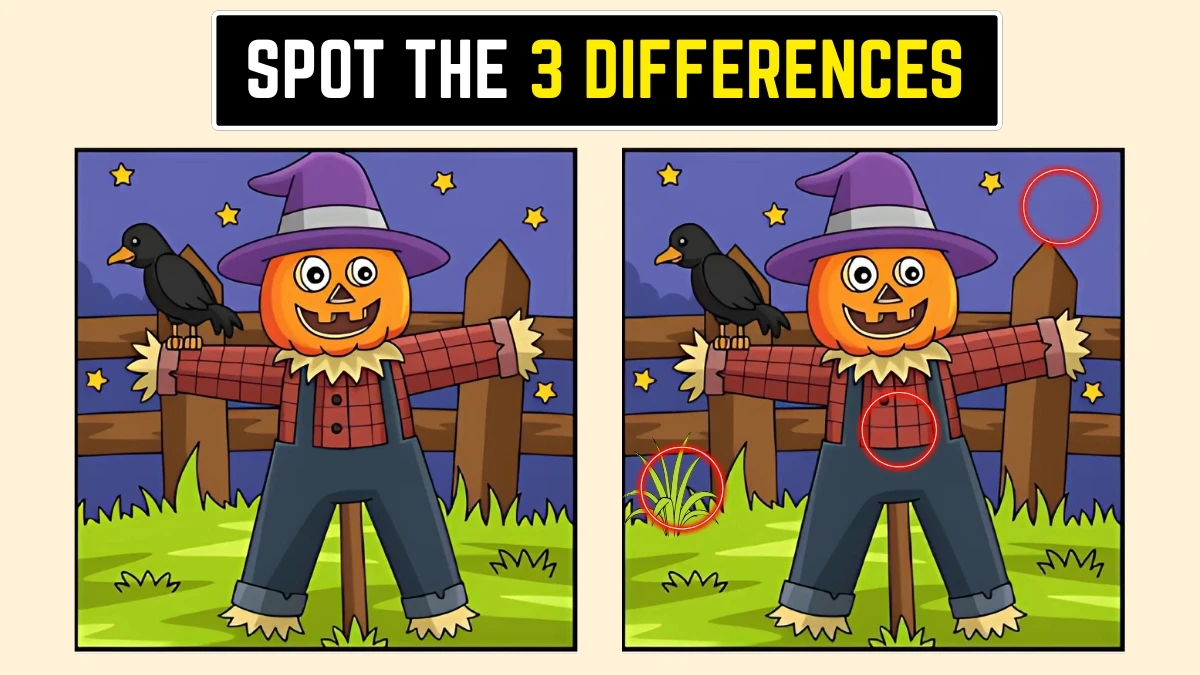 Optical Illusion: क्या आप 8 सेकंड में 3 छिपे हुए अंतर ढूंढ सकते हैं? Optical Illusion: क्या आप 8 सेकंड में 3 छिपे हुए अंतर ढूंढ सकते हैं?