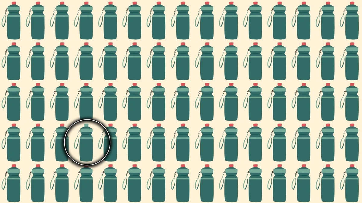 Optical Illusion: क्या आप 6 सेकंड में छिपी हुई पानी की बोतल ढूंढ सकते हैं? Optical Illusion: क्या आप 6 सेकंड में छिपी हुई पानी की बोतल ढूंढ सकते हैं?