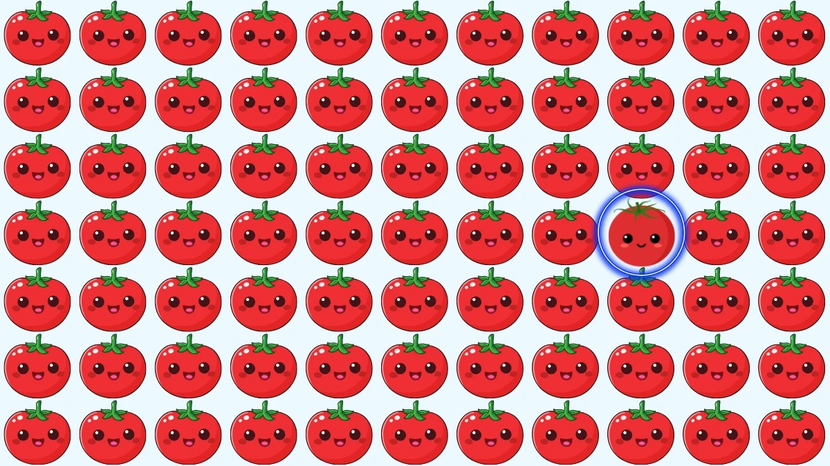 Optical Illusion: क्या आप 7 सेकंड में अजीब टमाटर पहचान सकते हैं? Optical Illusion: क्या आप 7 सेकंड में अजीब टमाटर पहचान सकते हैं?
