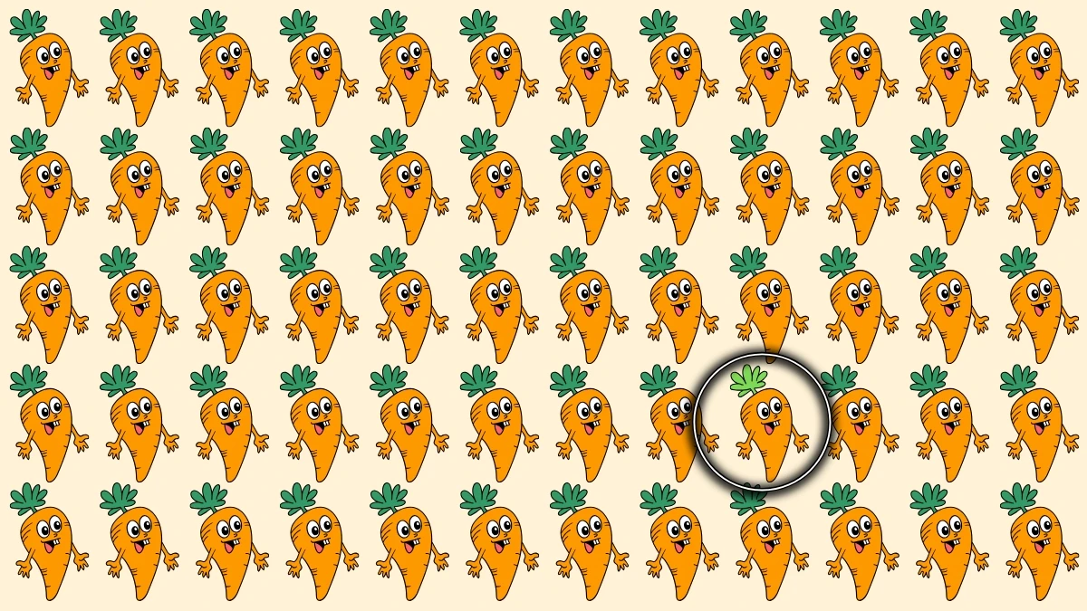 Optical Illusion: 6 सेकंड में अलग दिखने वाले गाजर को पहचानें Optical Illusion: 6 सेकंड में अलग दिखने वाले गाजर को पहचानें