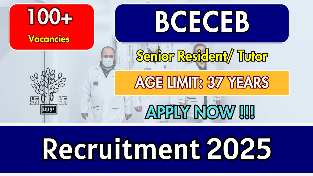 BCECEB Senior Resident Tutor Recruitment 2025 - 193 Posts, Online Form Out at bceceboard.bihar.gov.in