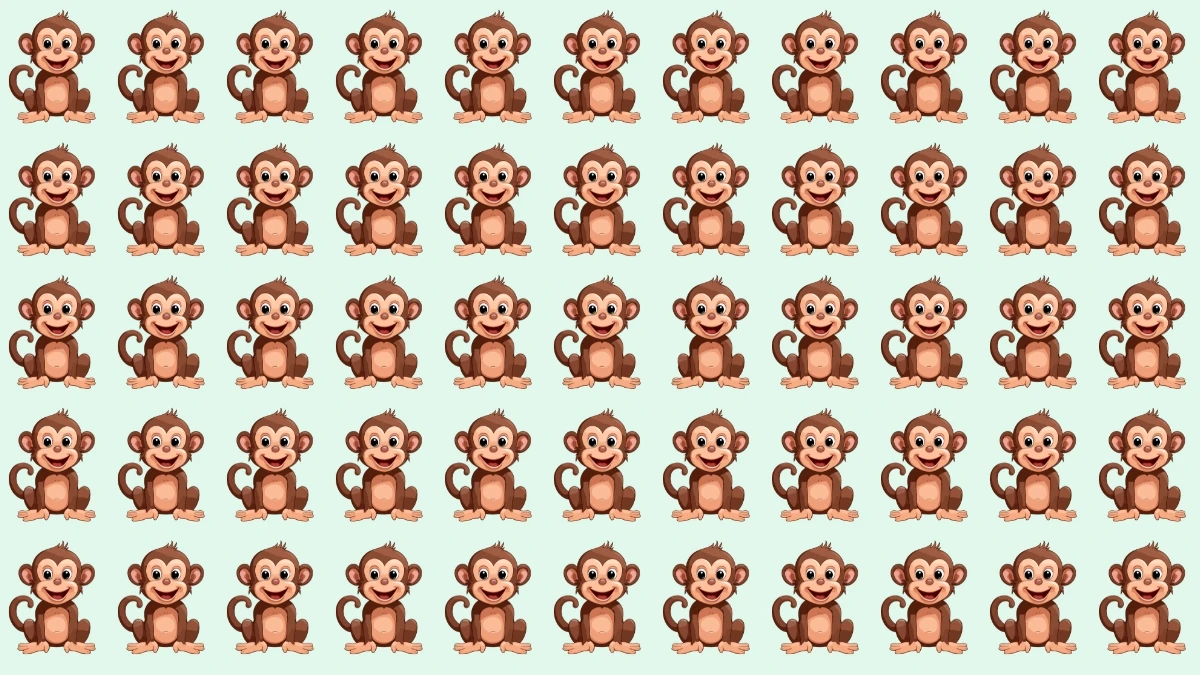 Brain Teaser: Can You Find the Odd Monkey in 6 Seconds? Brain Teaser: Can You Find the Odd Monkey in 6 Seconds?
