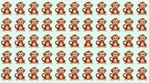 Brain Teaser: Can You Find the Odd Monkey in 6 Seconds? Brain Teaser: Can You Find the Odd Monkey in 6 Seconds?