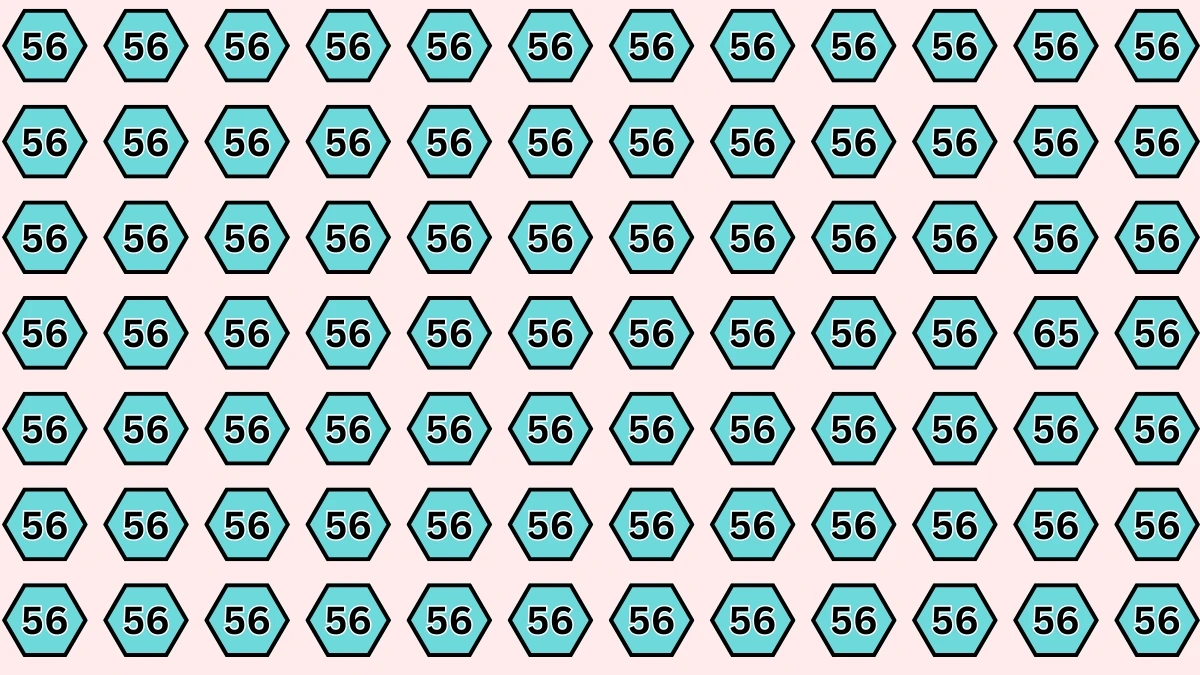 Brain Teaser: Can You Spot the Number 65 in 5 Seconds?