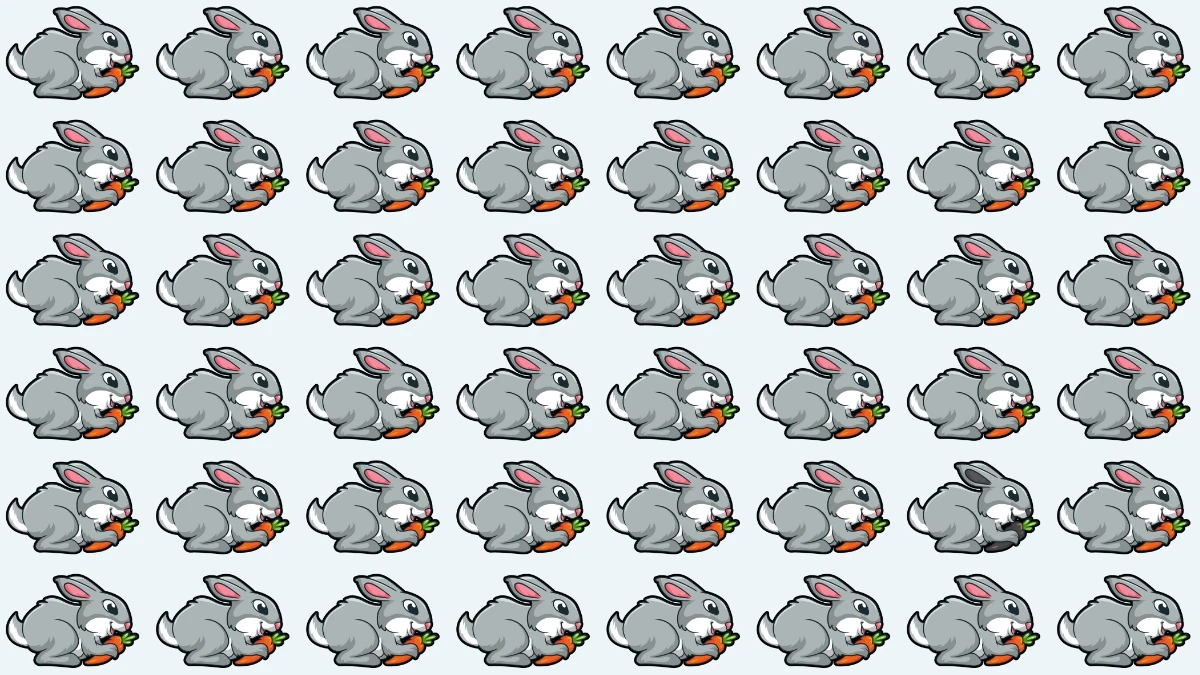 Brain Teaser: Challenge Your Eyes to Find the Odd Rabbit Brain Teaser: Challenge Your Eyes to Find the Odd Rabbit