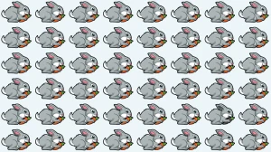 Brain Teaser: Challenge Your Eyes to Find the Odd Rabbit Brain Teaser: Challenge Your Eyes to Find the Odd Rabbit