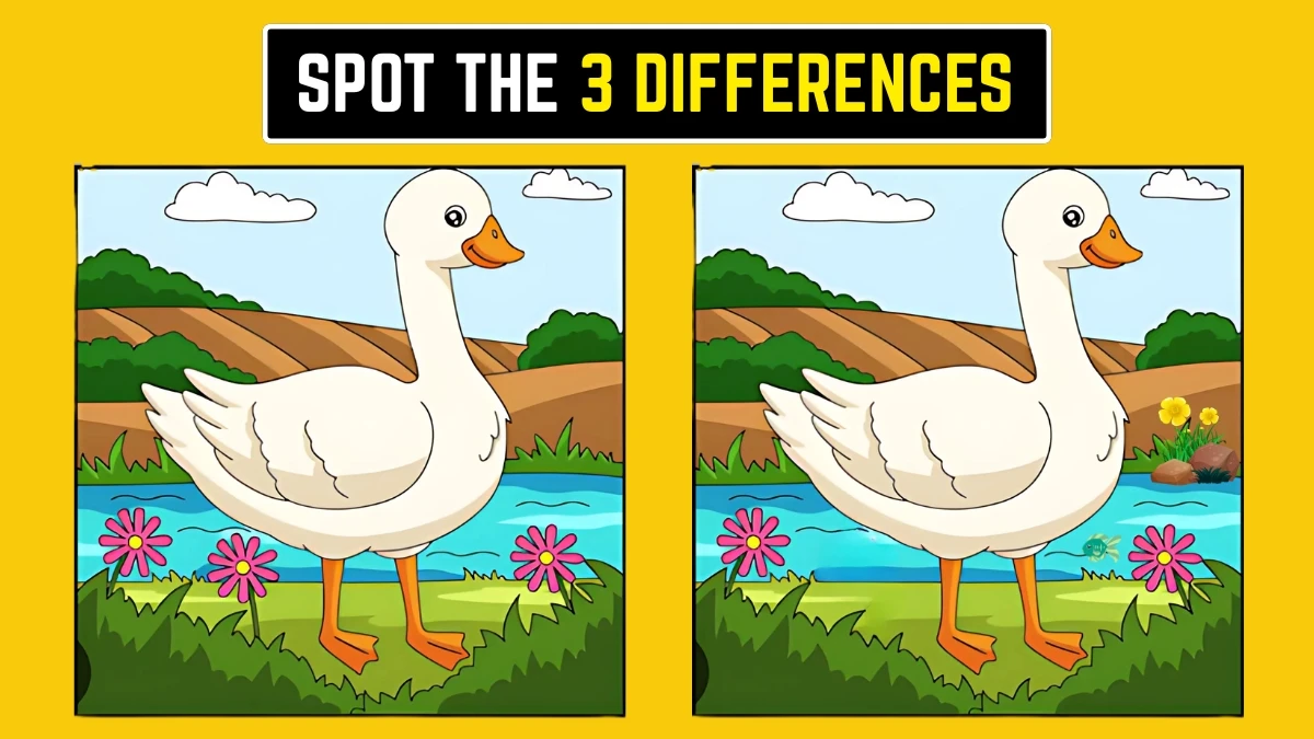 Brain Teaser: Find the 3 Hidden Differences in 6 Seconds Brain Teaser: Find the 3 Hidden Differences in 6 Seconds