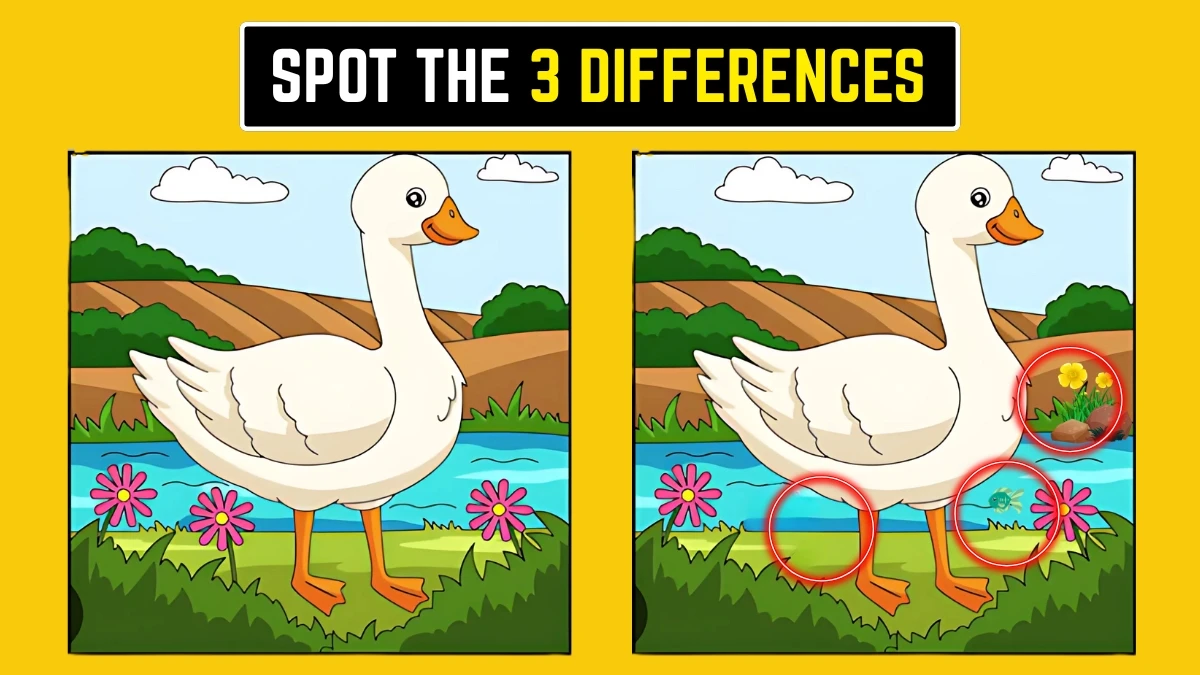 Brain Teaser: Find the 3 Hidden Differences in 6 Seconds