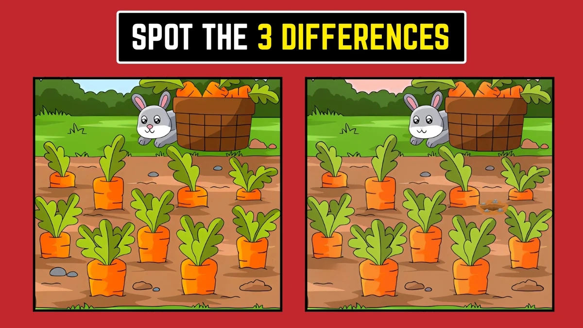 Brain Teaser: Spot the 3 Differences Challenge