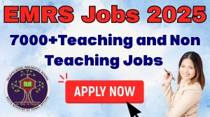 EMRS Teaching and Non Teaching Recruitment 2025 - 7267 Posts, Online Form Out at nests.tribal.gov.in EMRS Teaching and Non Teaching Recruitment 2025 - 7267 Posts, Online Form Out at nests.tribal.gov.in