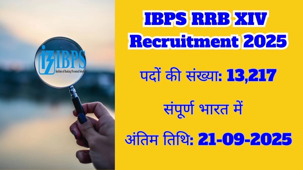 IBPS Recruitment 2025 – 13,217 Posts, Online Form Out at ibps.in IBPS Recruitment 2025 – 13,217 Posts, Online Form Out at ibps.in