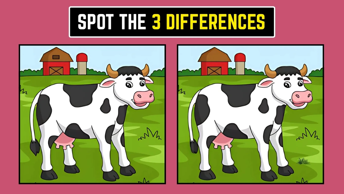 Optical Illusion: केवल तेज़ आँखें ही 3 अंतर देख सकती हैं Optical Illusion: केवल तेज़ आँखें ही 3 अंतर देख सकती हैं