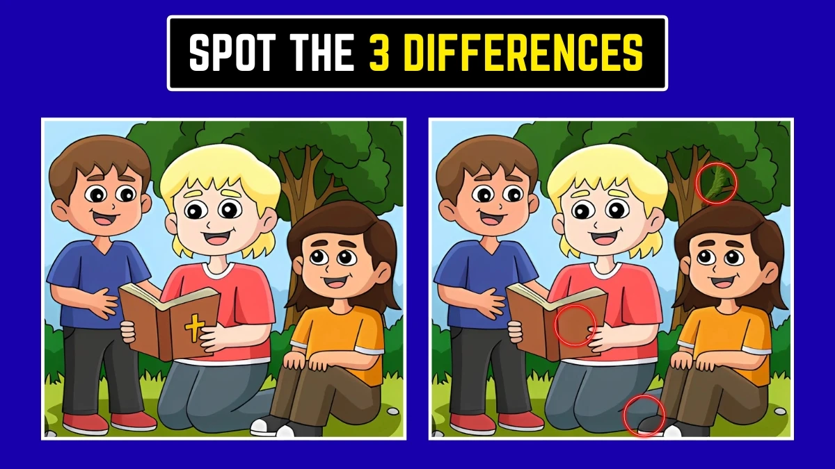 Optical Illusion: Challenge Your Eyes to Spot the 3 Differences! Optical Illusion: Challenge Your Eyes to Spot the 3 Differences!